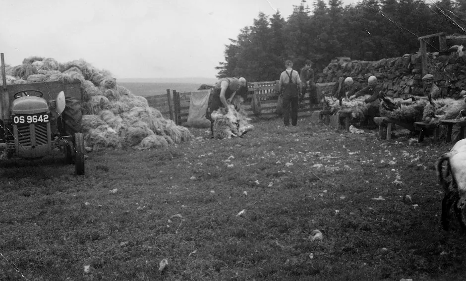 1930 - Clipping at Barnvannoch