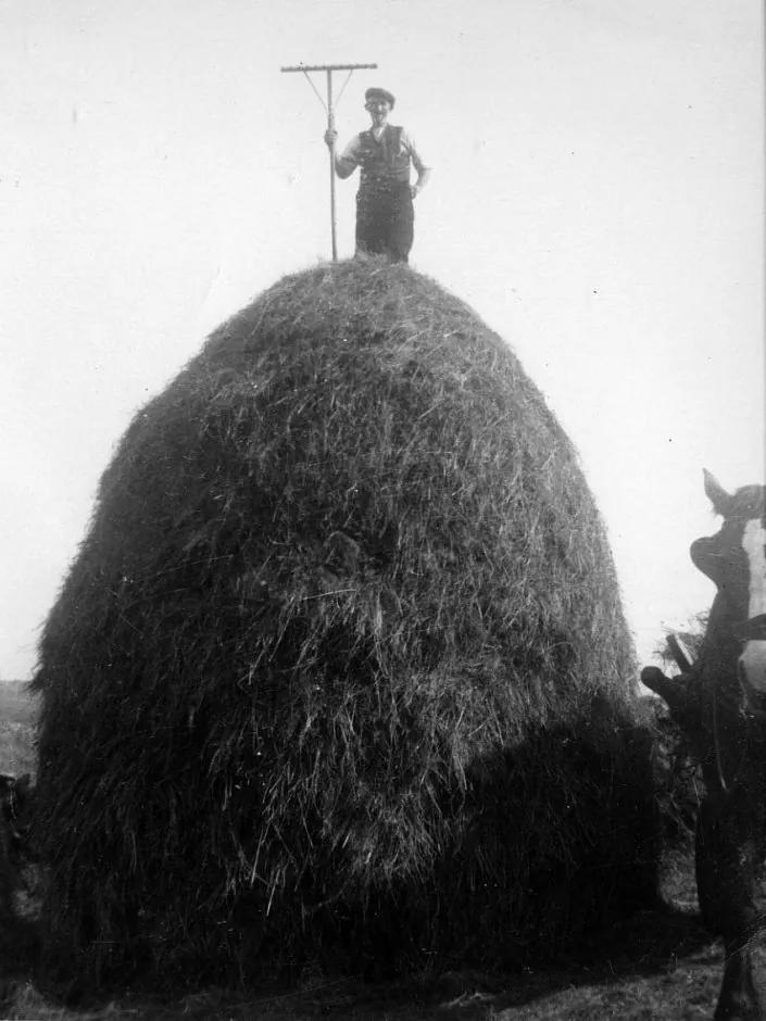 1930 - Dalnigap Haystack